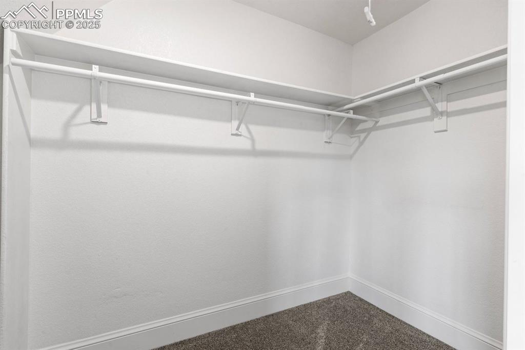 Image 38 of 50: Spacious closet featuring dark carpet