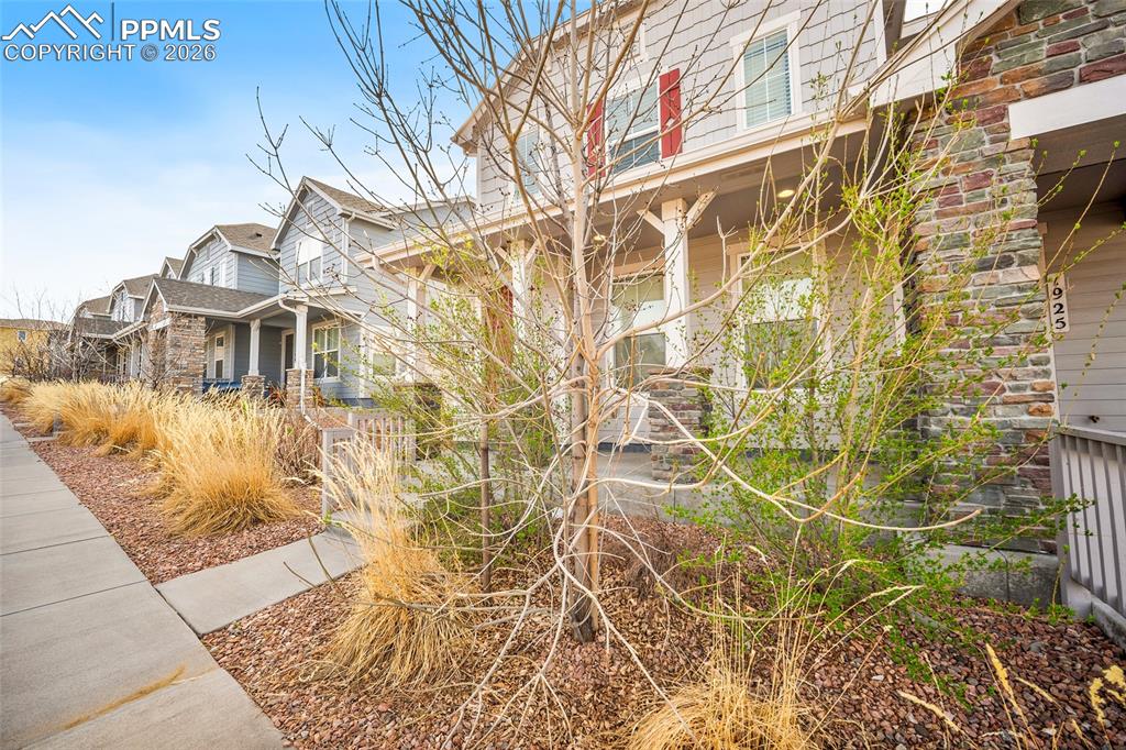 Image 32 of 33: Side of Structure