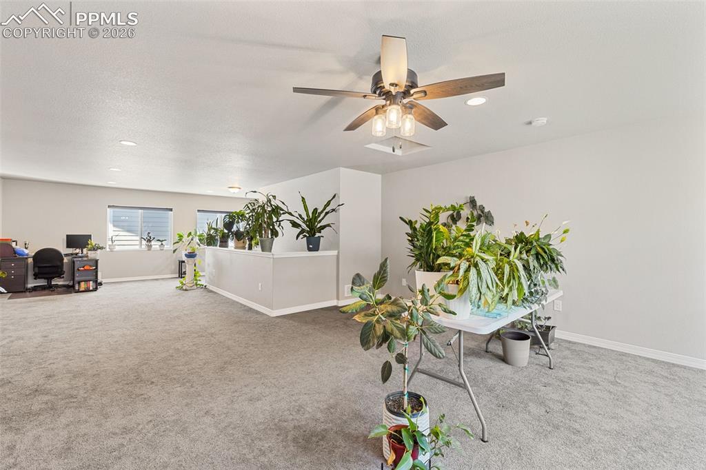 Image 24 of 44: Spacious room featuring neutral carpeting, light gray walls, a ceiling fan 