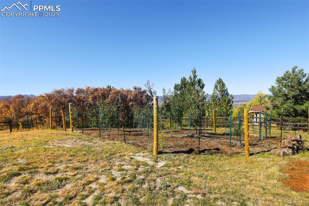 Image 38 of 50: The Back Yard is a Gardener