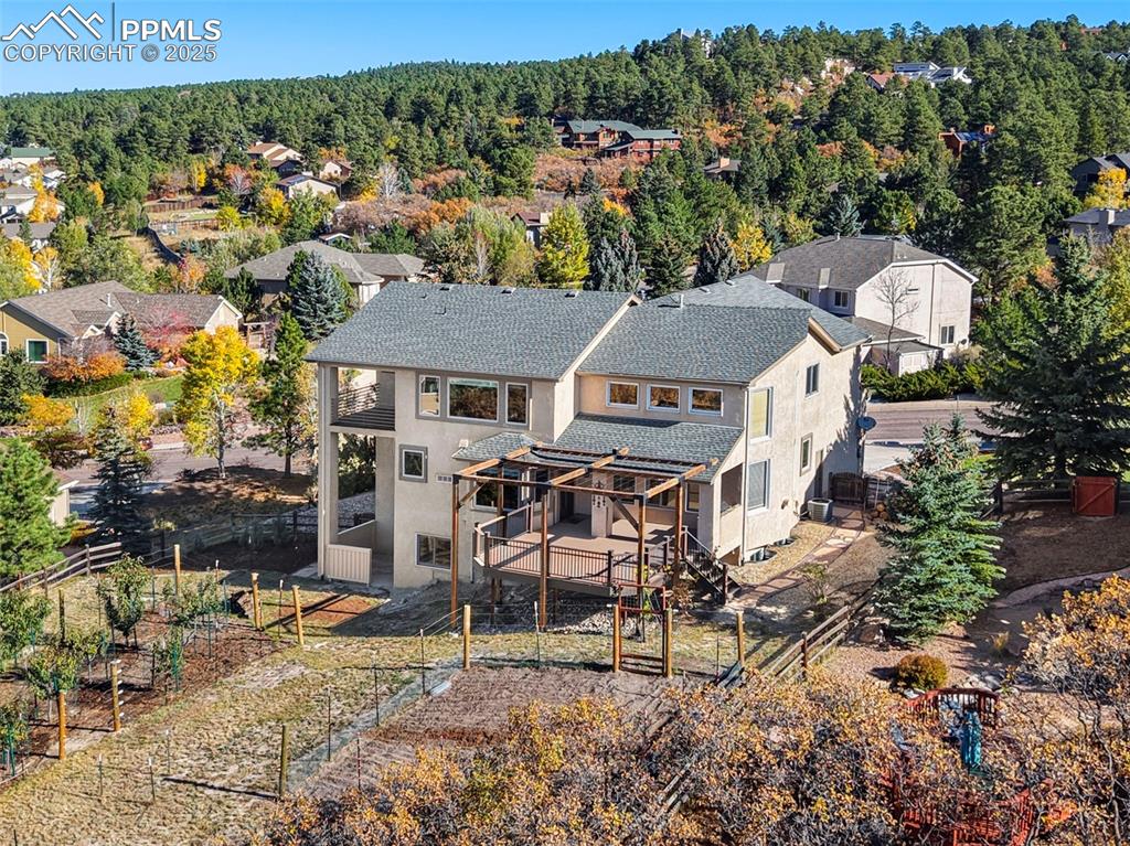 Image 40 of 50: Backyard Orchard Serves Up European Plums ~ Colorado Peaches ~ Cherries ~ G