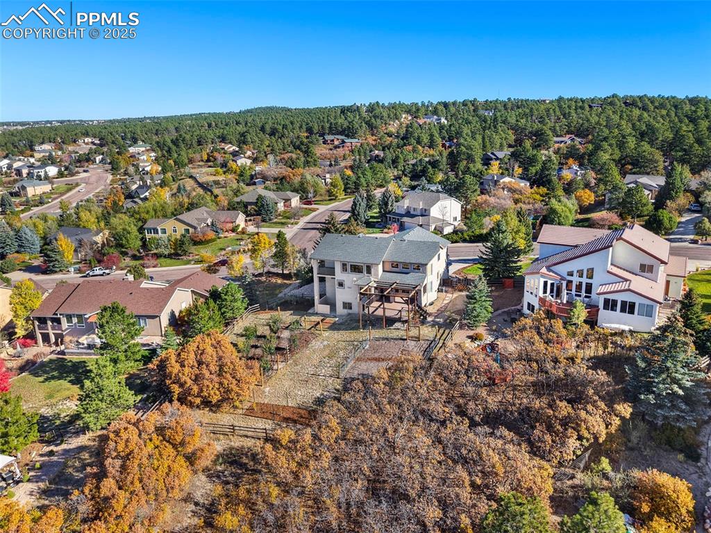 Image 42 of 50: Tons of Trees for Maximum Privacy!