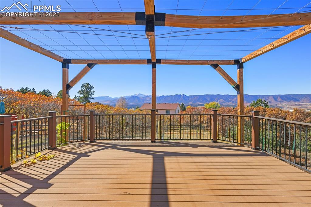 Image 8 of 50: Stainless Vine Trellis Over Deck!