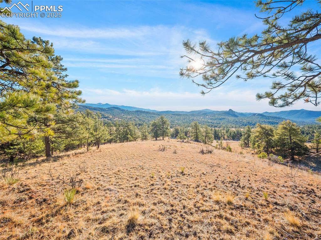 Caption: Imagine this view right out your living room windows!