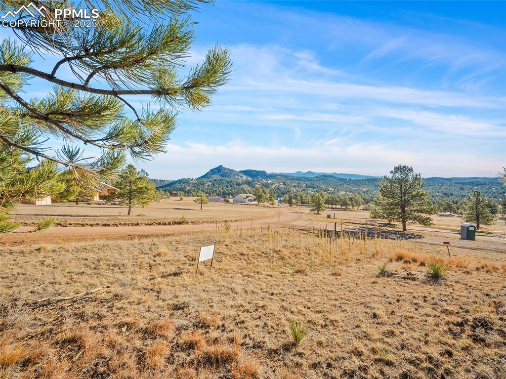 Image 14 of 25: View