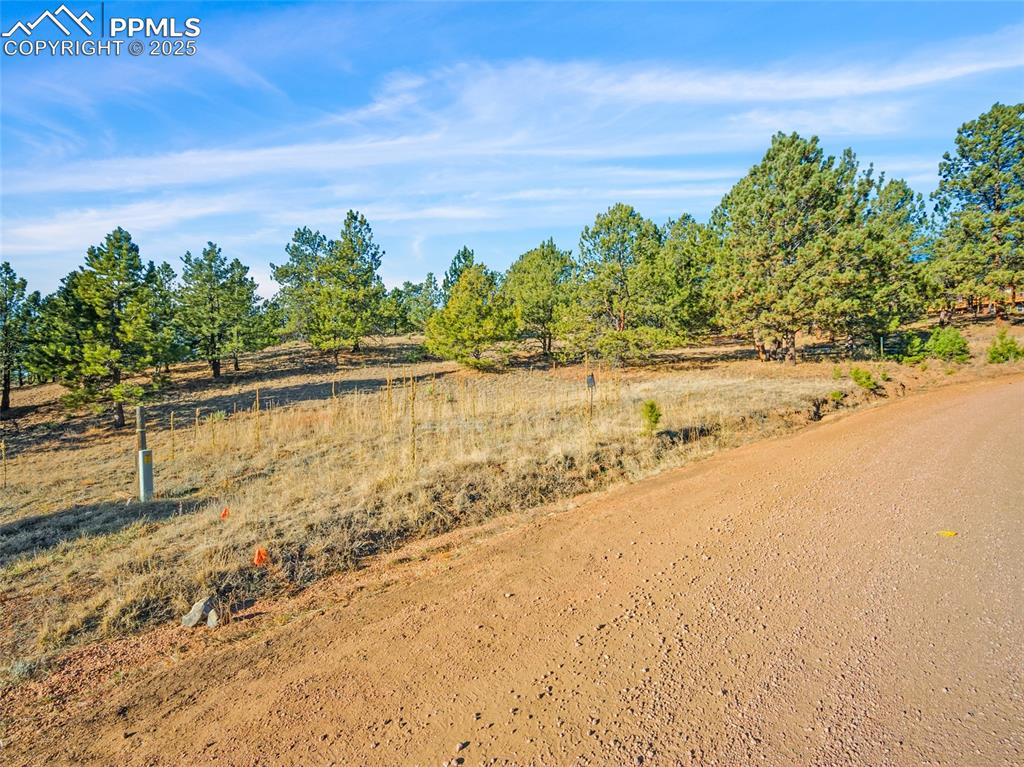 Image 15 of 25: Utilities at the property line