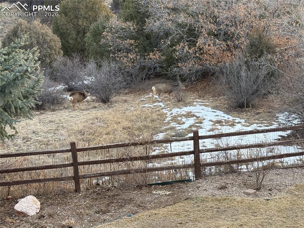 Image 47 of 50: Wildlife viewing