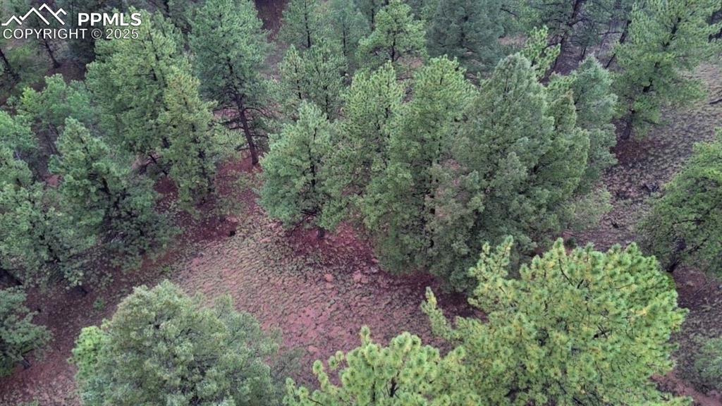 Image 20 of 20: Aerial View