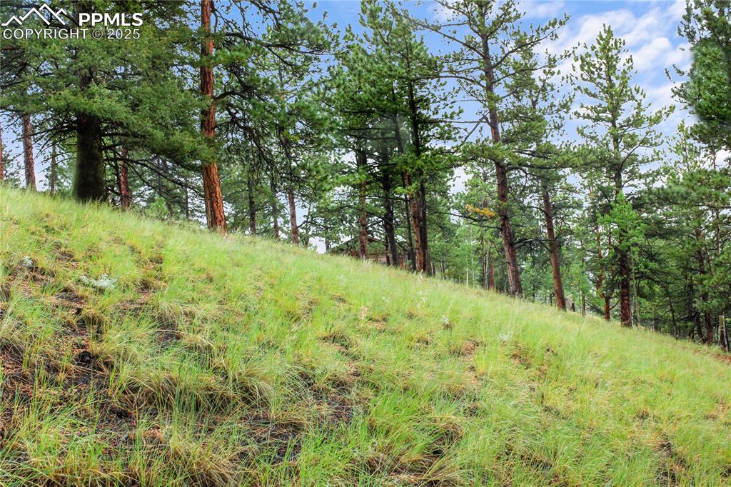 Image 7 of 20: Other