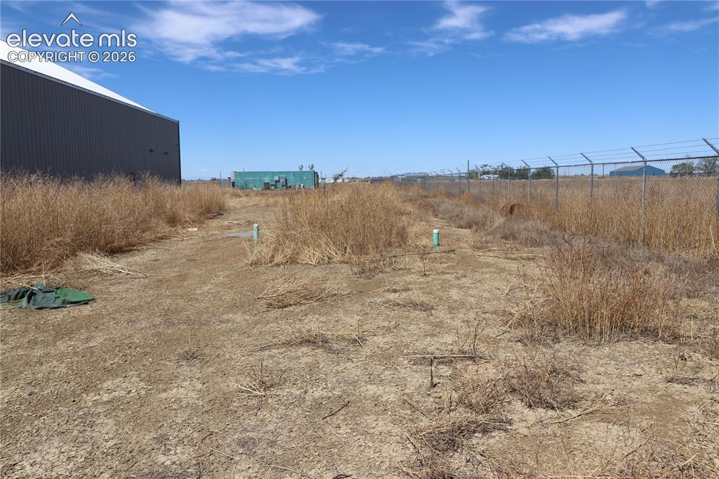 Image 6 of 38: Yard