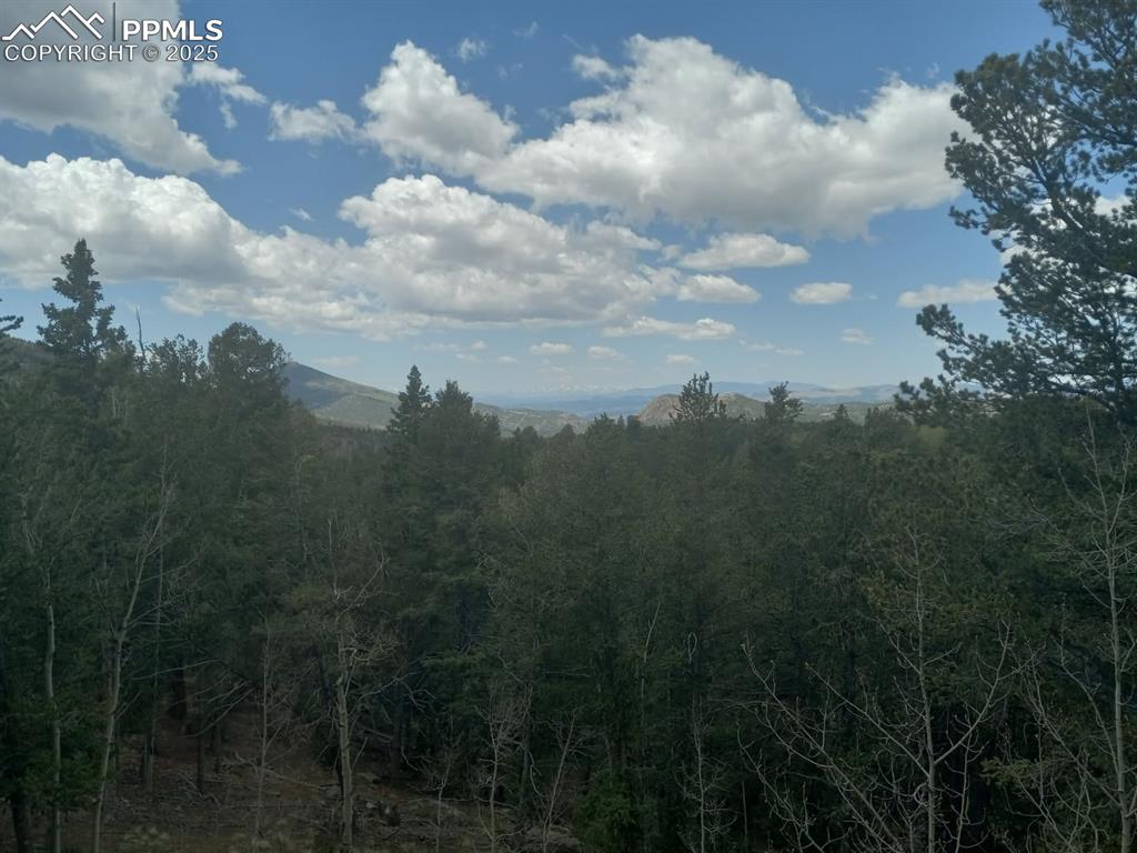 Image 7 of 31: View