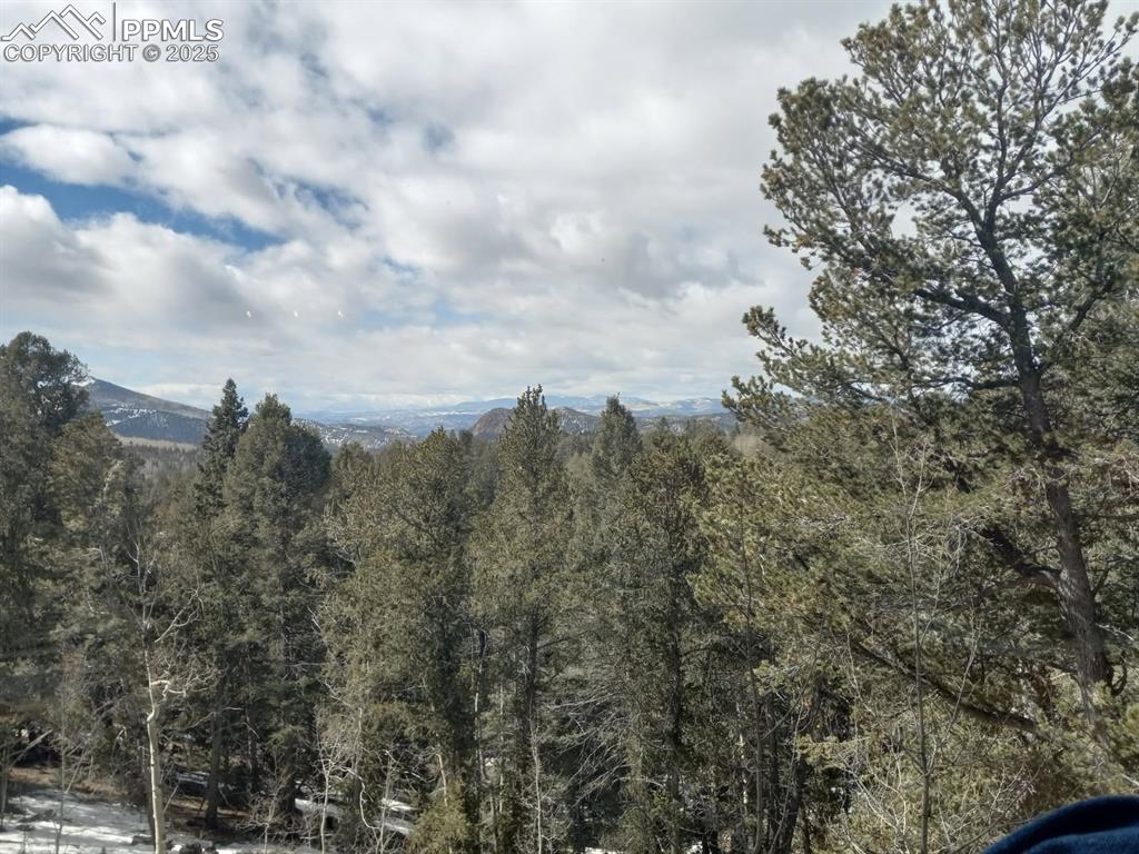 Image 8 of 31: View