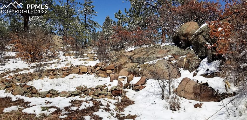 Listing 9269874, Image 42 of 50