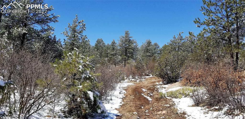 Listing 9269874, Image 43 of 50