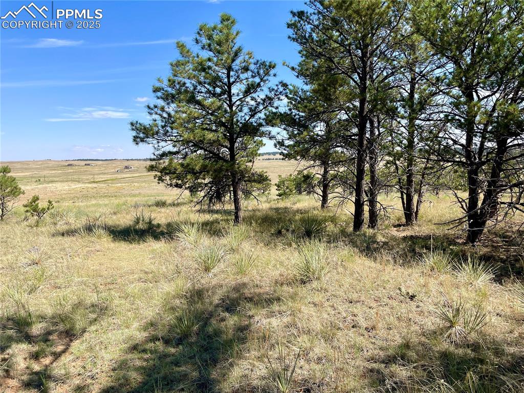 Image 10 of 15: Other