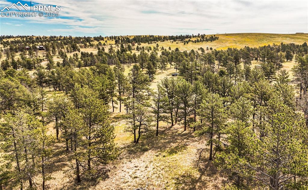 Image 13 of 15: Aerial View
