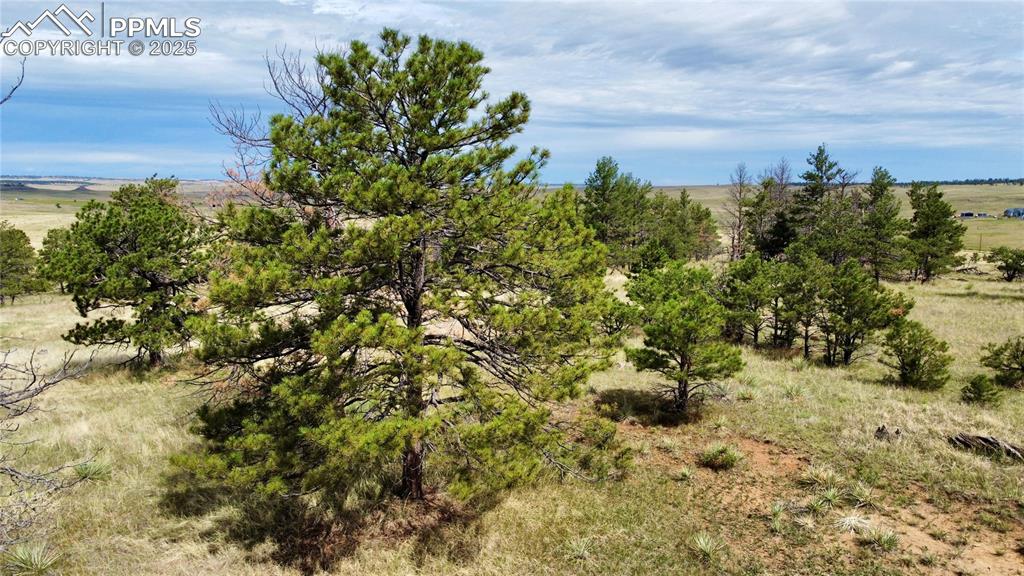 Image 6 of 15: Other