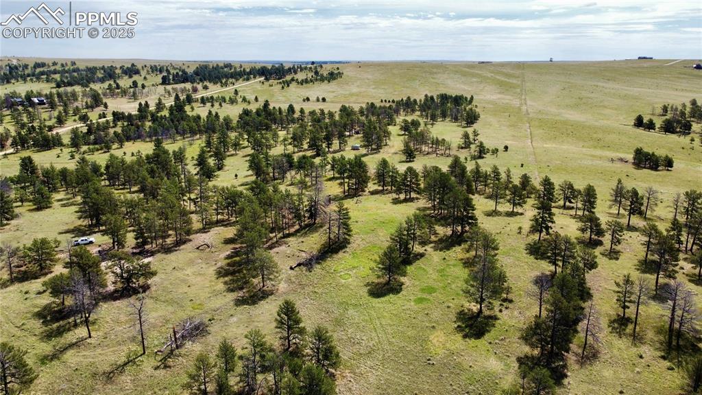 Image 7 of 15: Aerial View