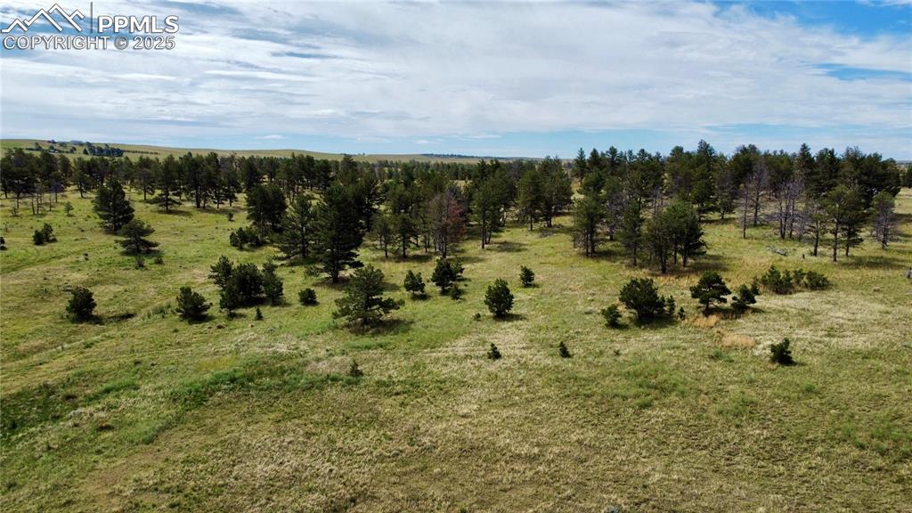 Image 9 of 15: Other