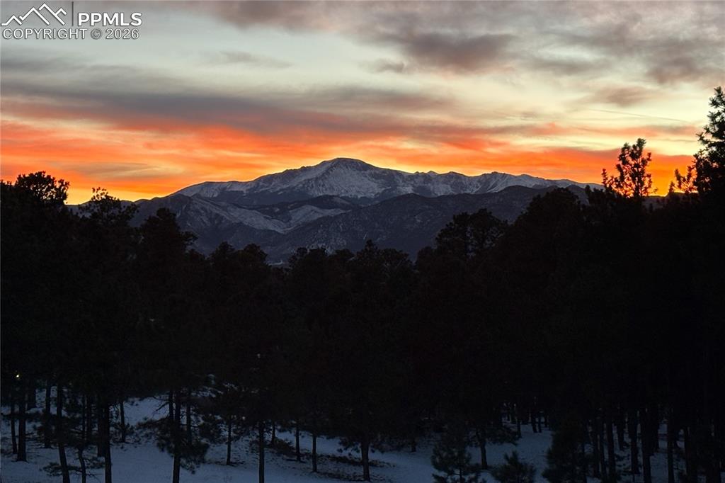 Image 32 of 32: View