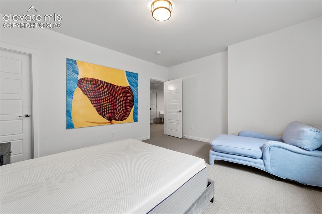 Image 30 of 38: Spacious room with light neutral carpeting, a ceiling-mounted fixture, and