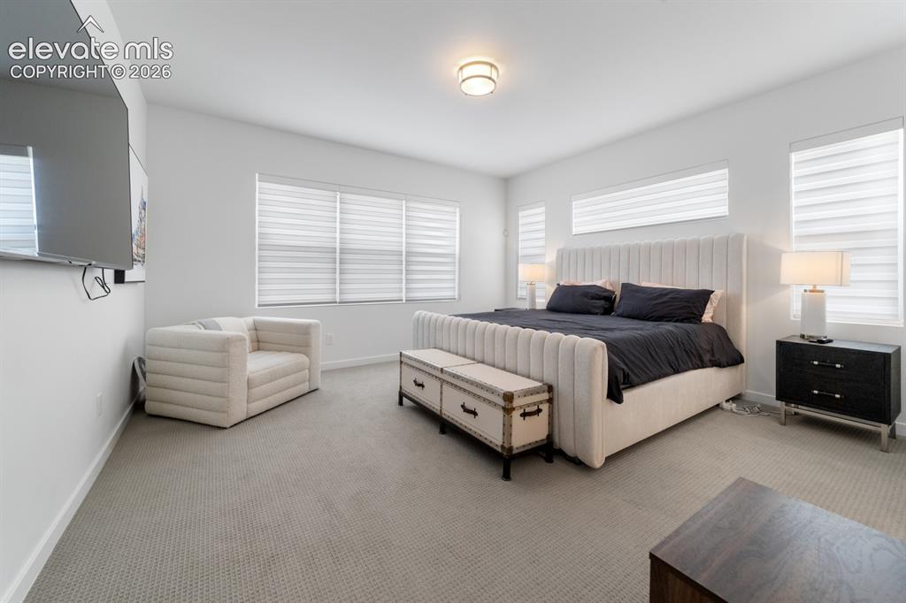 Image 4 of 38: Carpeted room featuring multiple windows with horizontal blinds, a ceiling-
