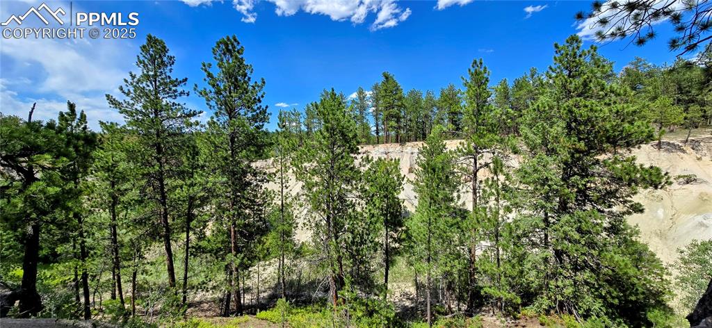 Image 10 of 48: View of local wilderness