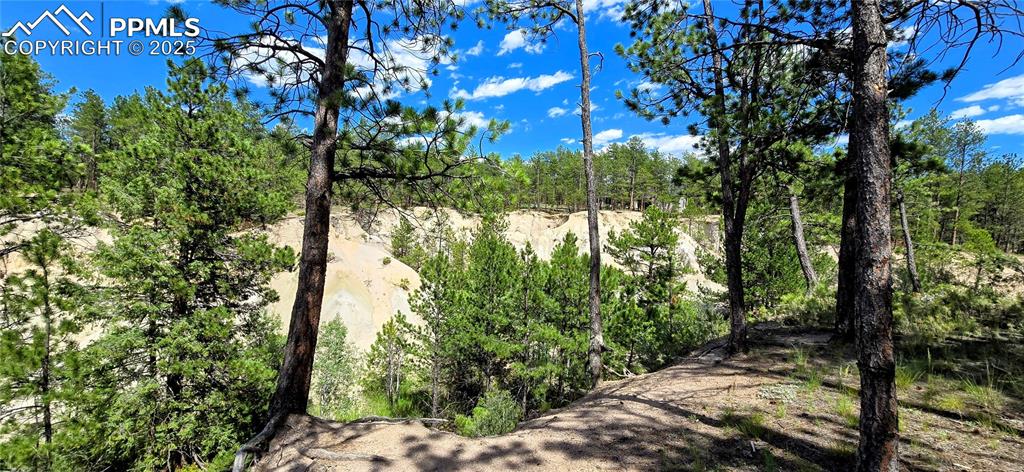 Image 12 of 48: View of nature