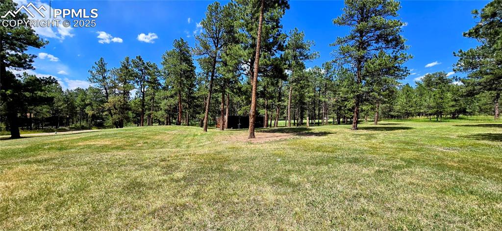 Image 8 of 48: View of grassy yard