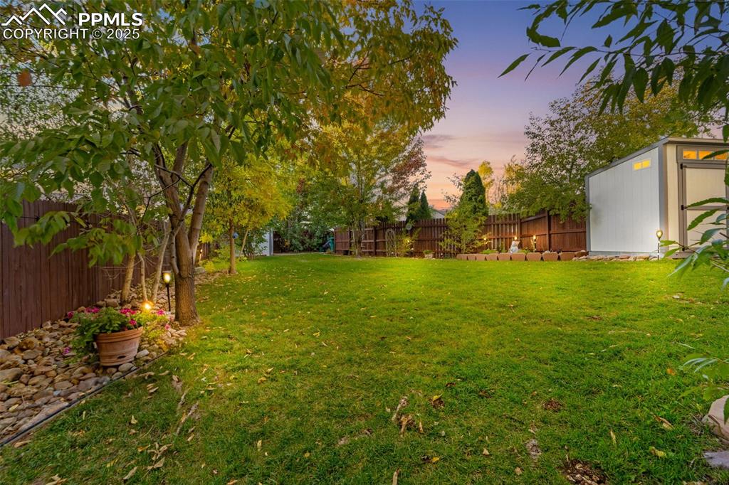 Image 16 of 50: Yard