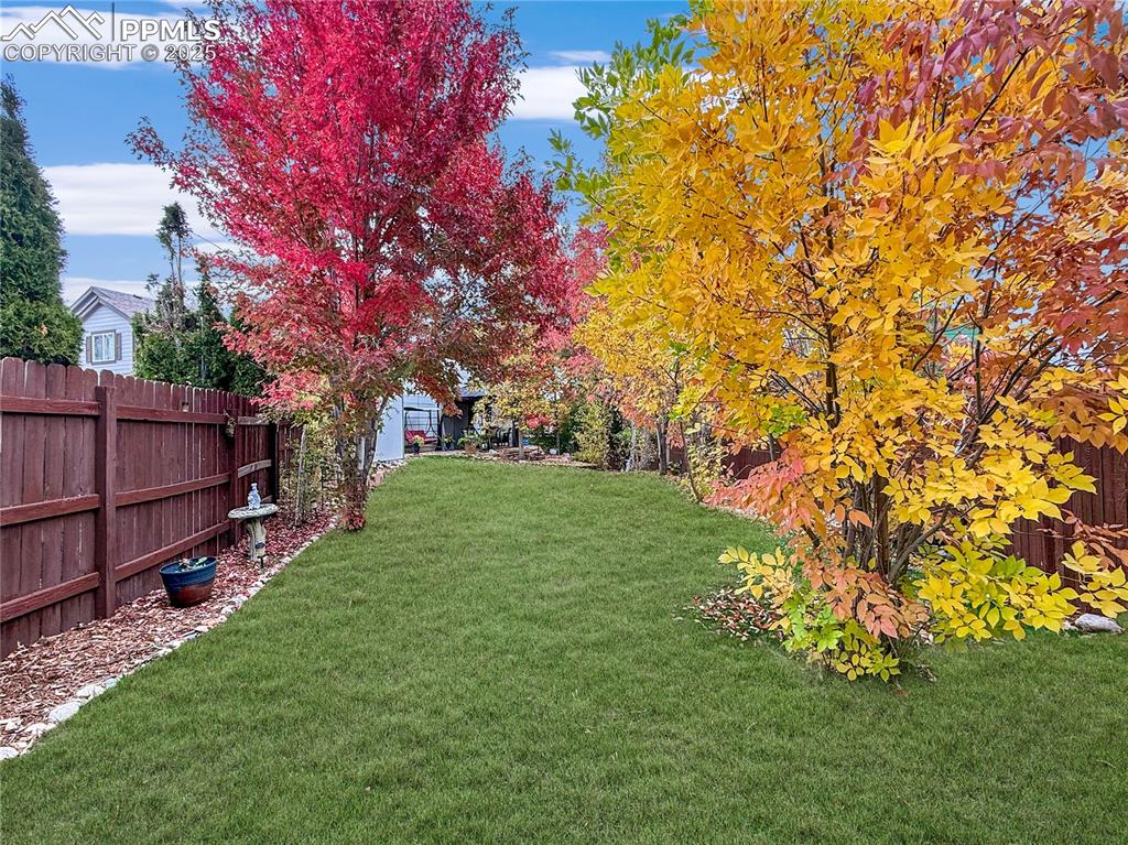 Image 18 of 50: Yard