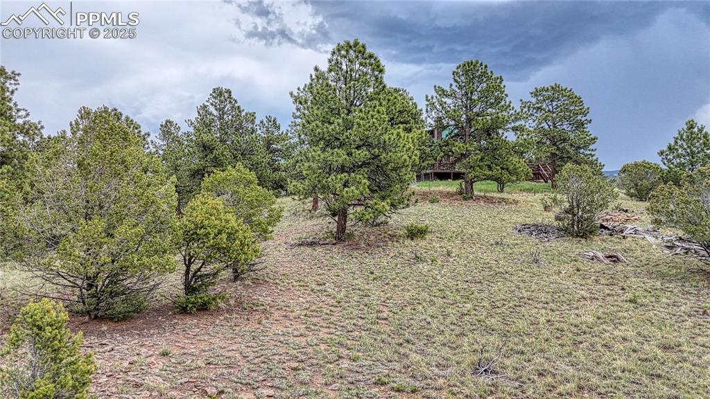 Image 13 of 19: Other