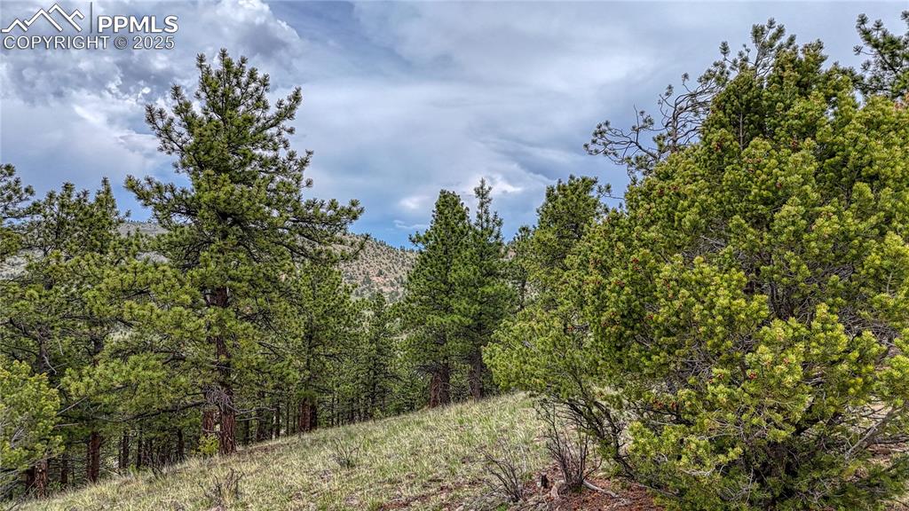 Image 14 of 19: Other