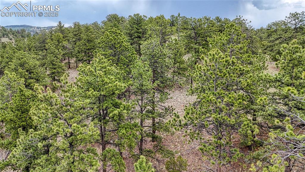 Image 16 of 19: Other