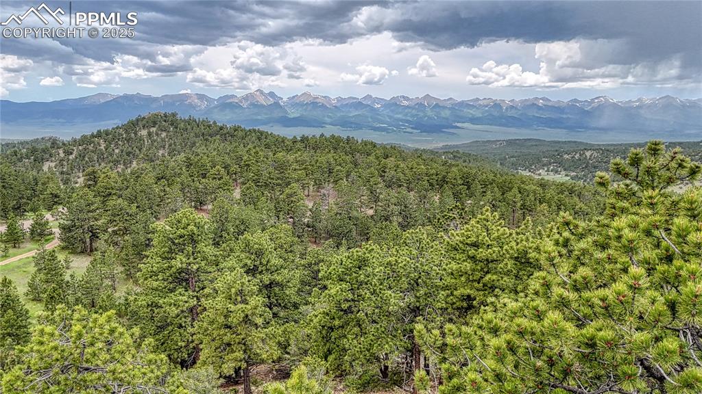 Image 17 of 19: View