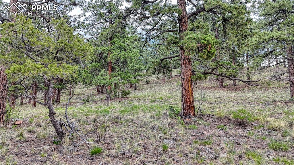 Image 18 of 19: Other