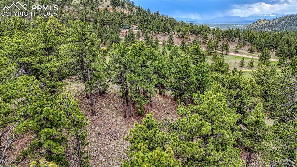 Image 19 of 19: View