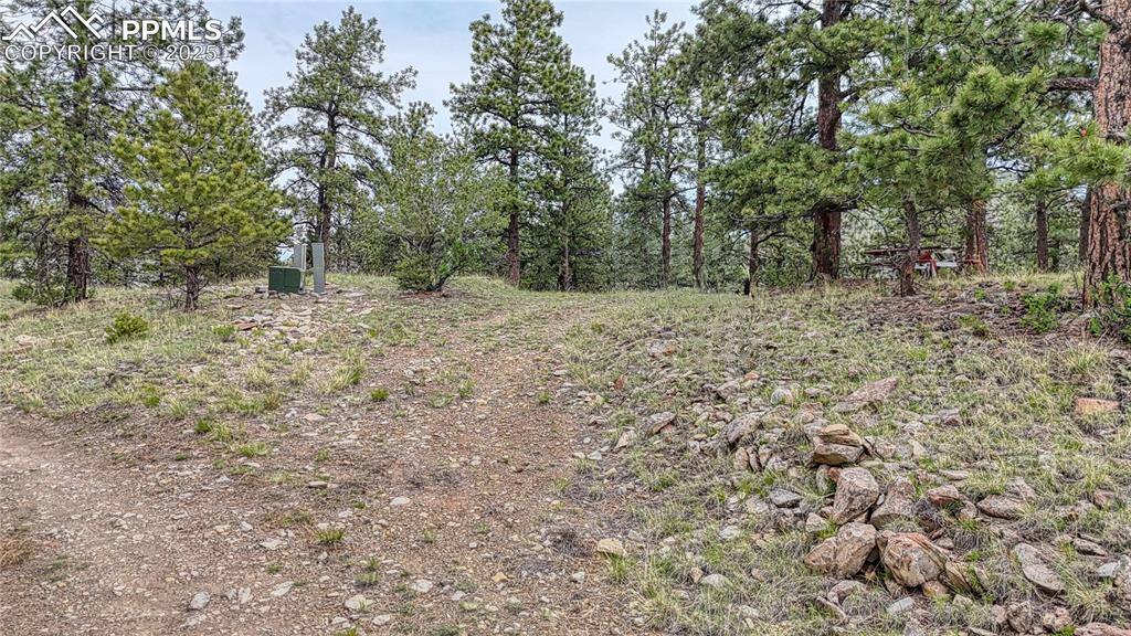 Image 8 of 19: Other