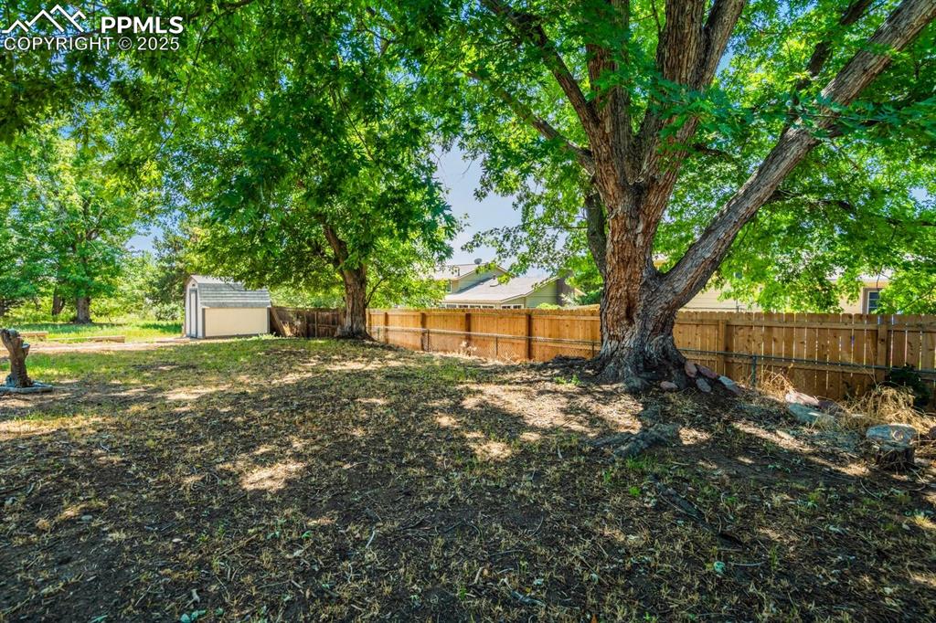 Image 29 of 37: Fenced backyard with a shed