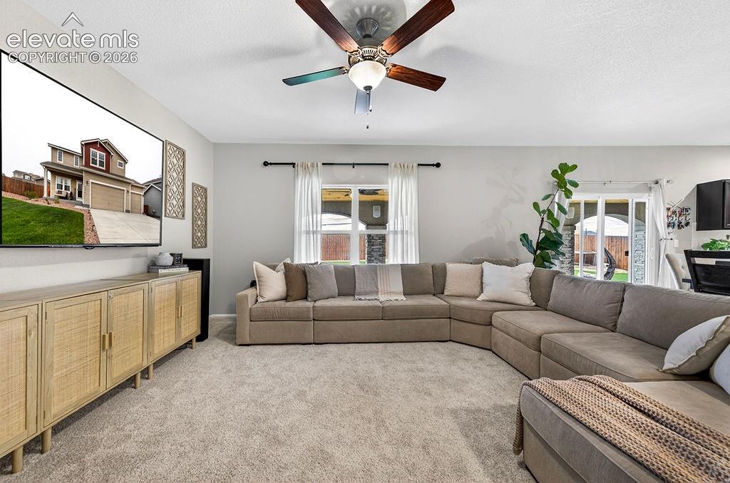 Image 15 of 50: Living Room