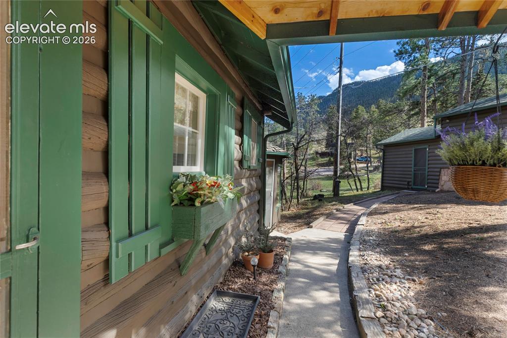 Image 2 of 38: So cute you could pinch its shutters!