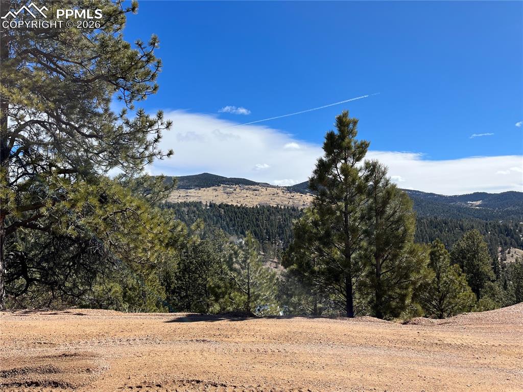 Image 10 of 13: From across the way from driveway