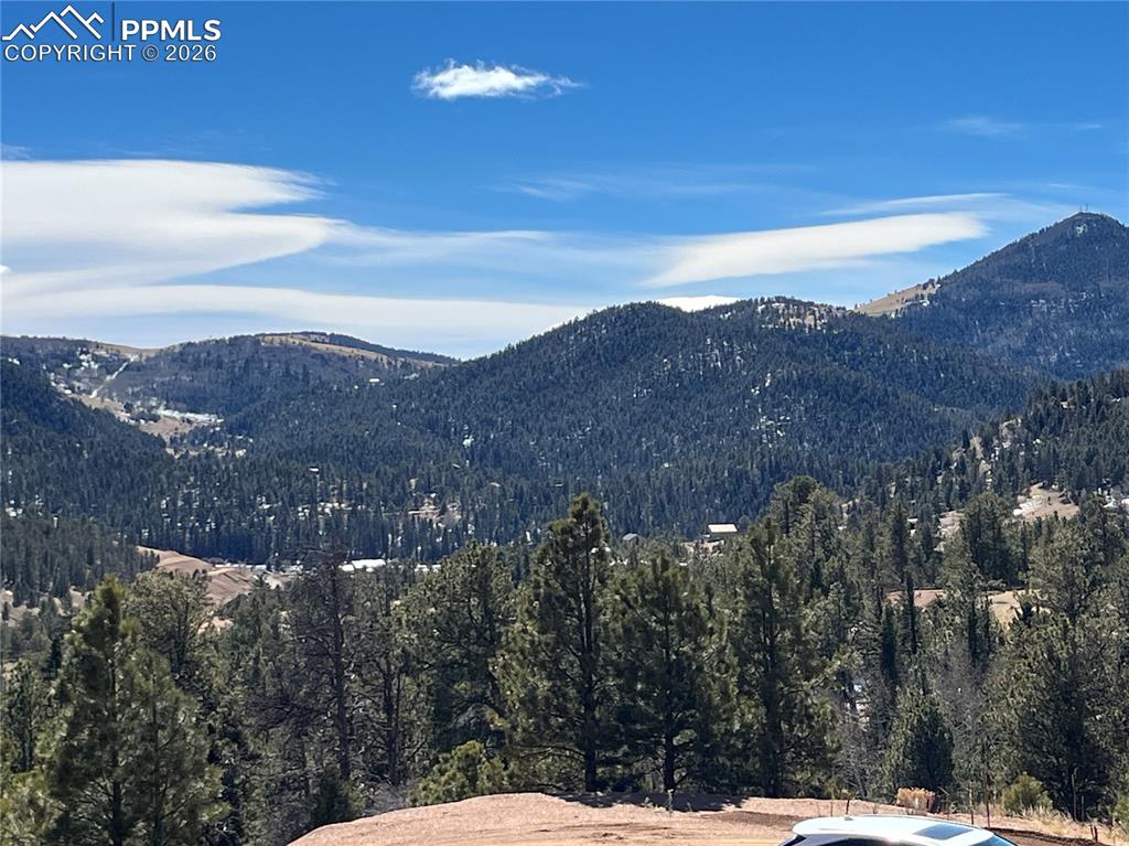 Image 11 of 13: View