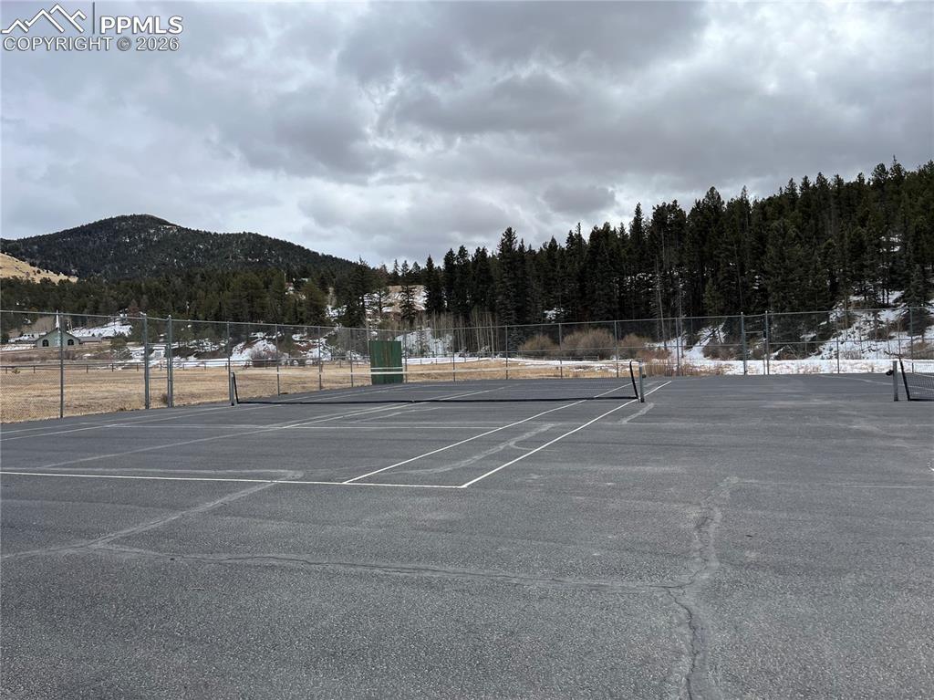 Image 6 of 13: Pickle /basketball courts available for members use