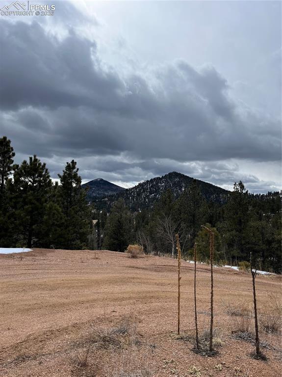 Image 7 of 13: Nice view towards Cripple Creek Way