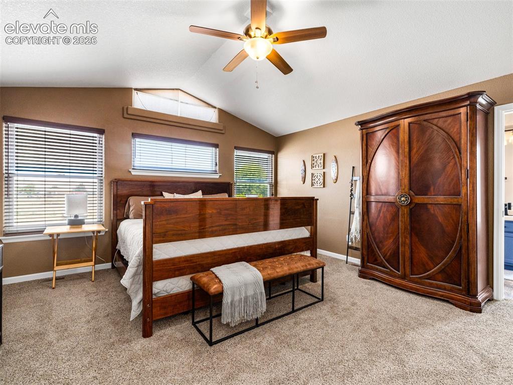 Image 14 of 50: This large master suite has new carpet and a 5 pc bath with walk in shower