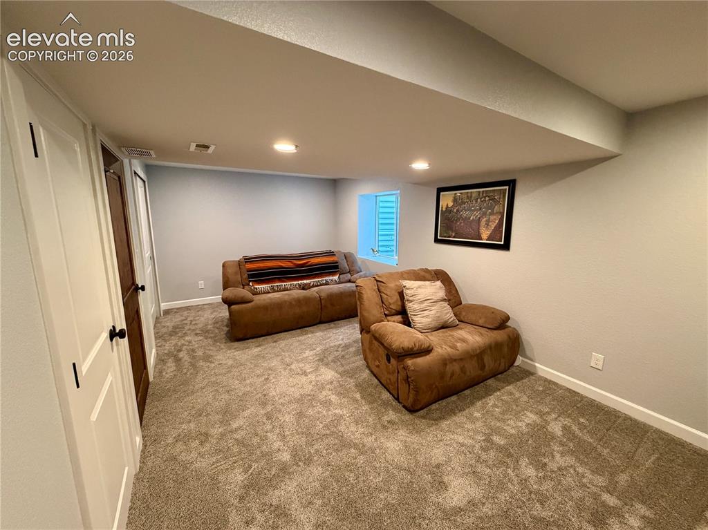 Image 36 of 50: Basement bedroom or media room.