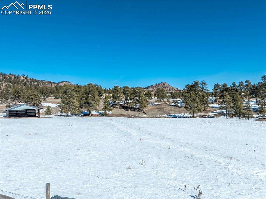 Image 17 of 23: Yard