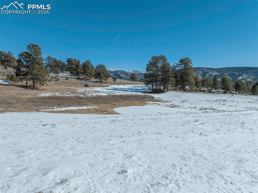 Image 22 of 23: Yard