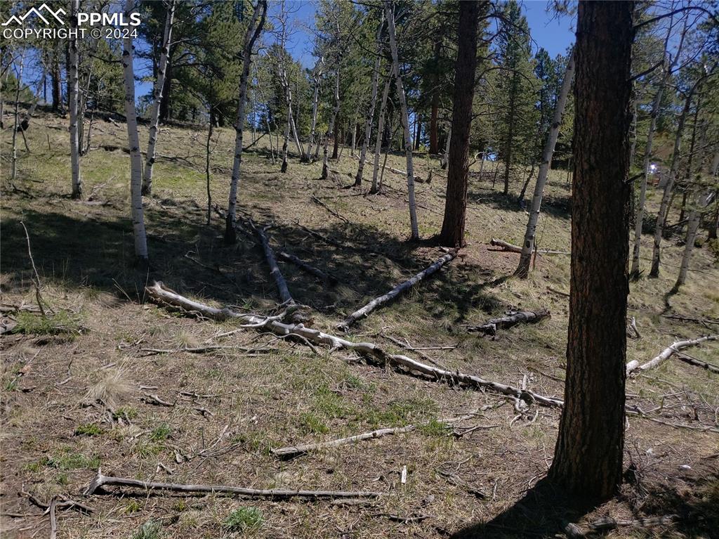 Image 10 of 14: Other